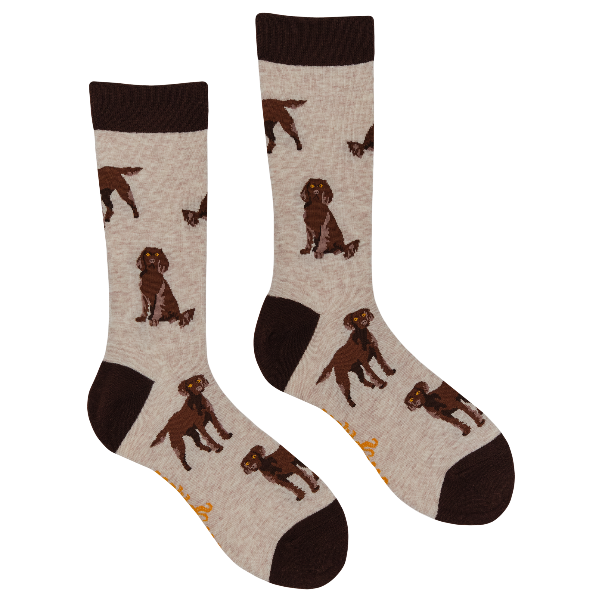 Chocolate Spaniel Socks - Span au Chocolat