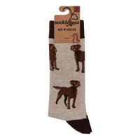 Chocolate Spaniel Socks - Span au Chocolat
