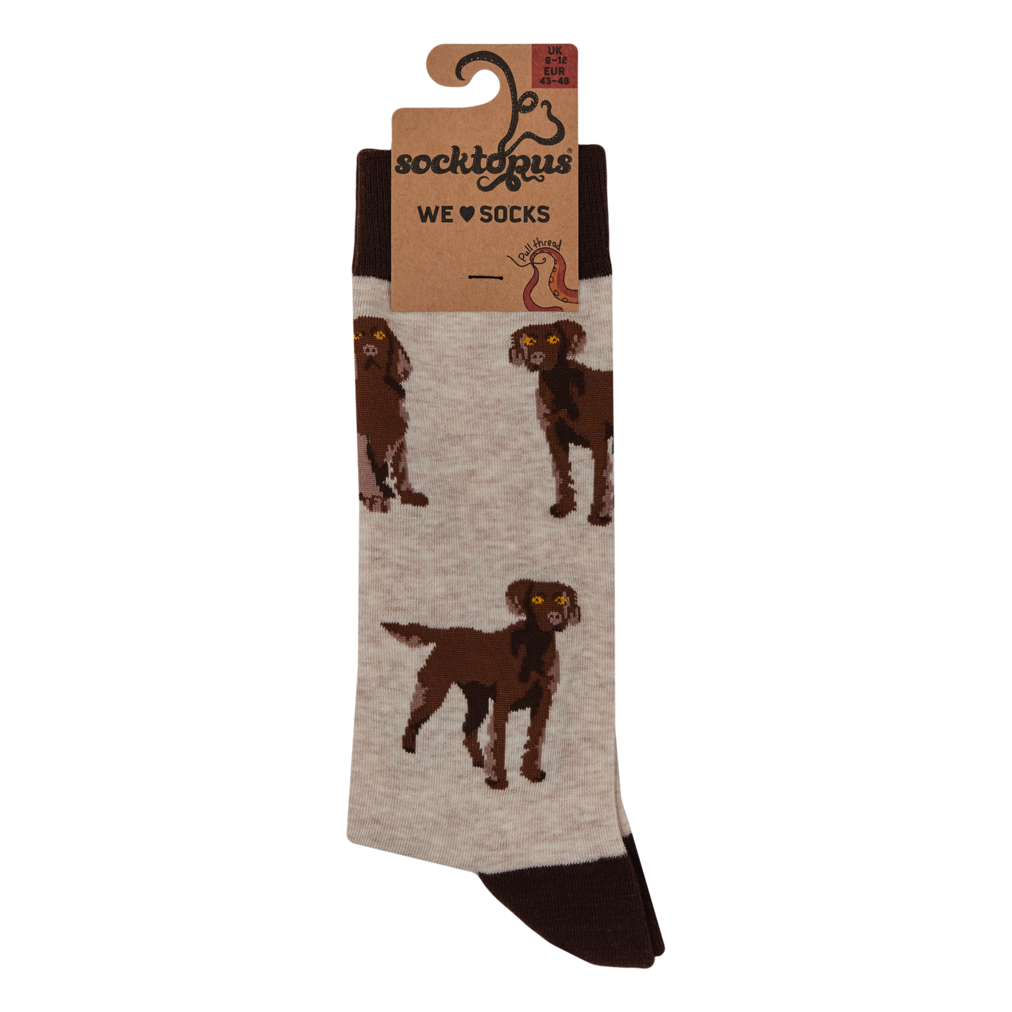 Chocolate Spaniel Socks - Span au Chocolat
