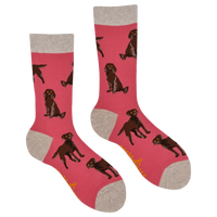 Chocolate Spaniel Socks - Span au Chocolat