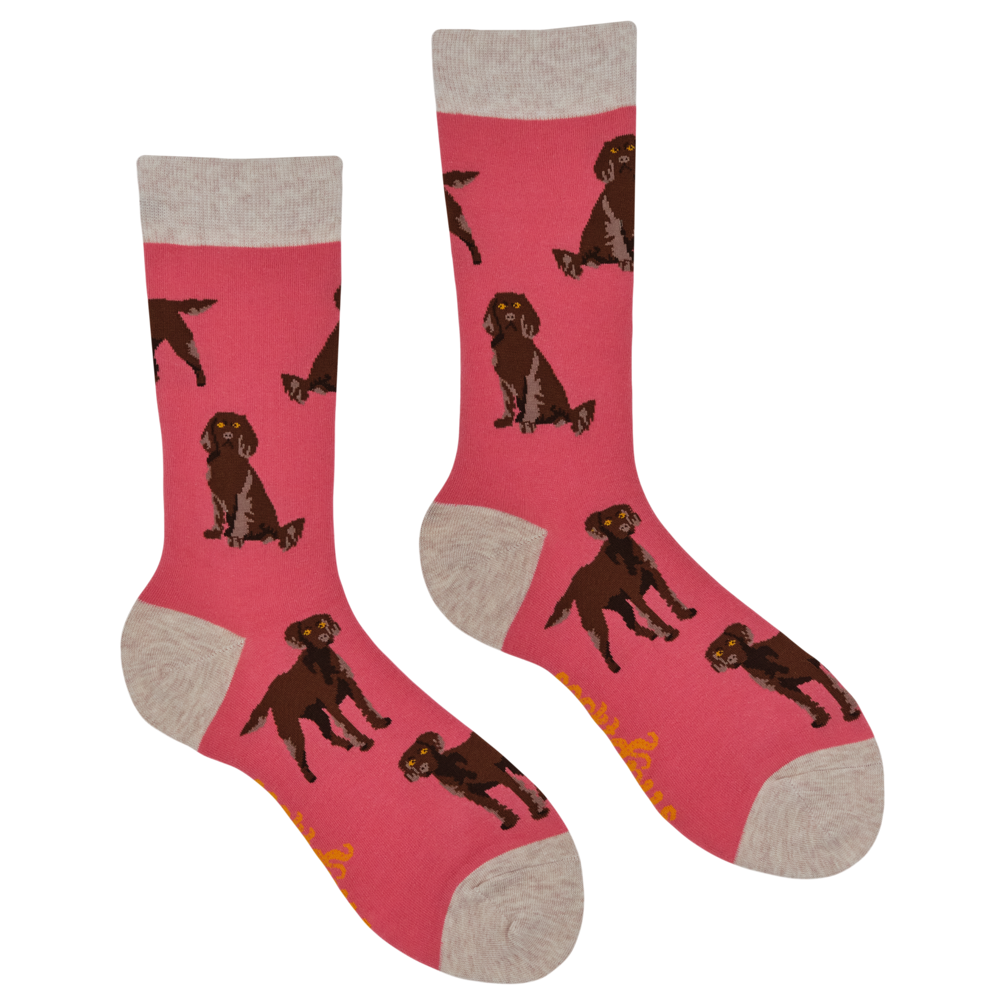 Chocolate Spaniel Socks - Span au Chocolat