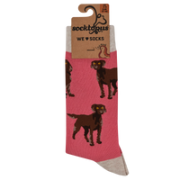 Chocolate Spaniel Socks - Span au Chocolat