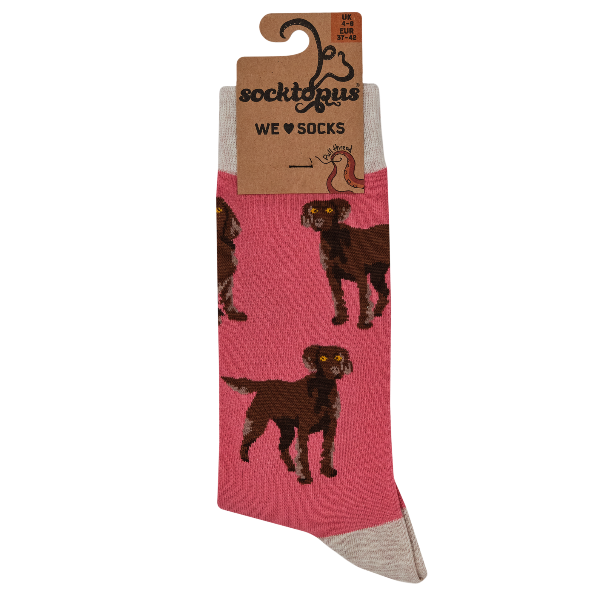 Chocolate Spaniel Socks - Span au Chocolat