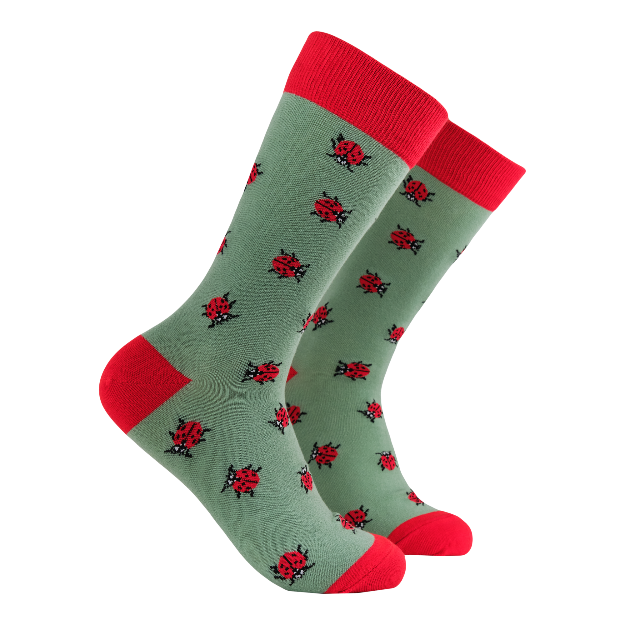 Ladybird Socks - Spot-On!