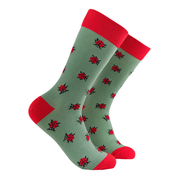 Ladybird Socks - Spot-On!