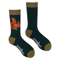 Squirrel Socks - Robert E Fuller