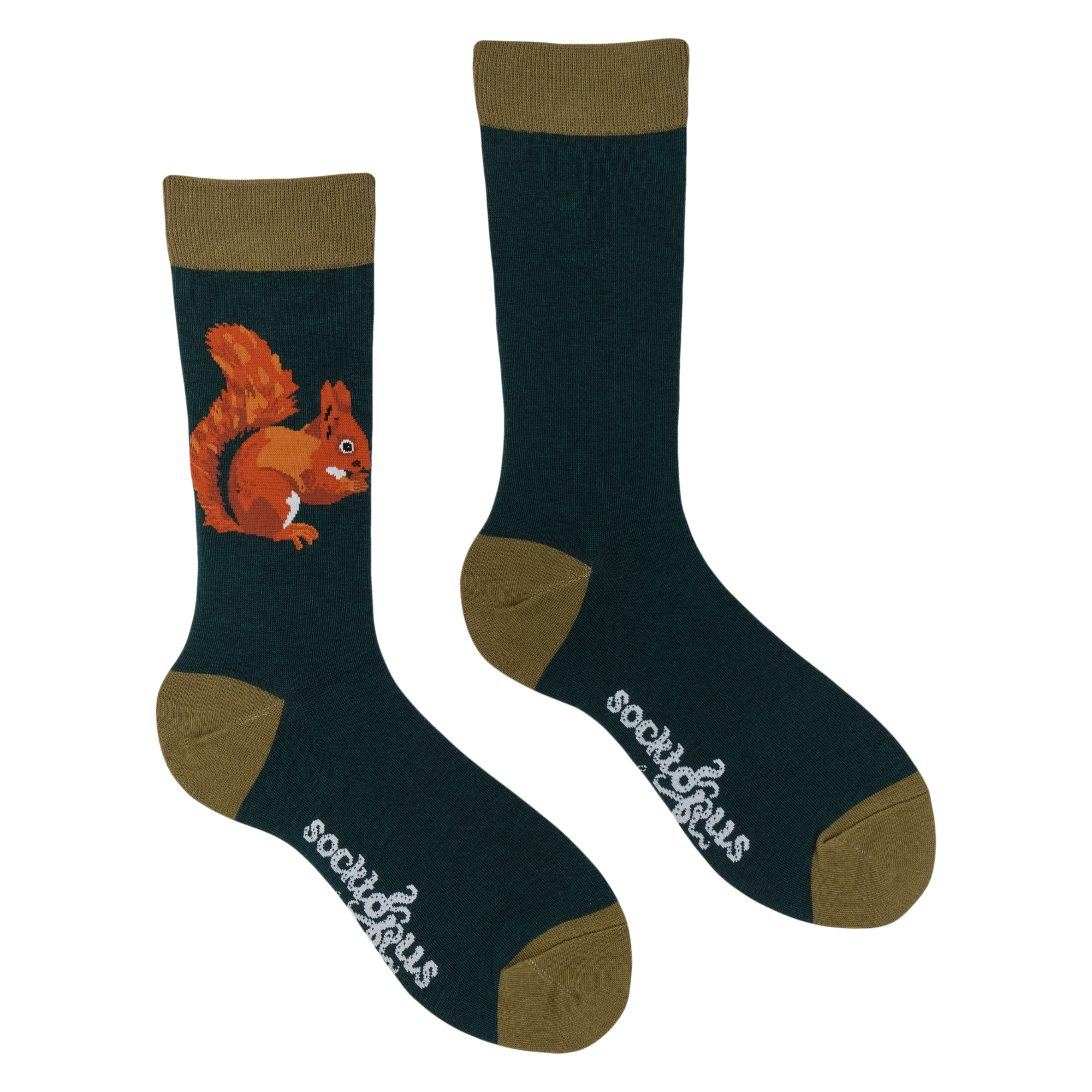 Squirrel Socks - Robert E Fuller
