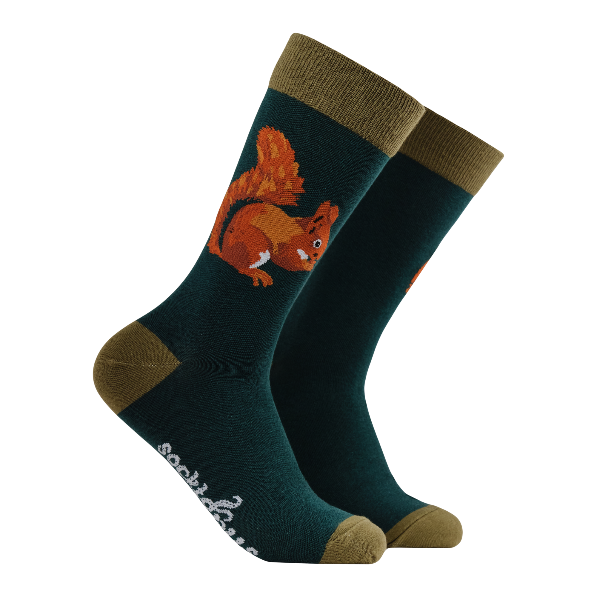 Squirrel Socks - Robert E Fuller
