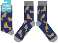 Fluffy Ginger Cats Socks
