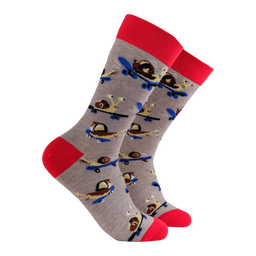 Snail Socks - Snail Boarder - GREY