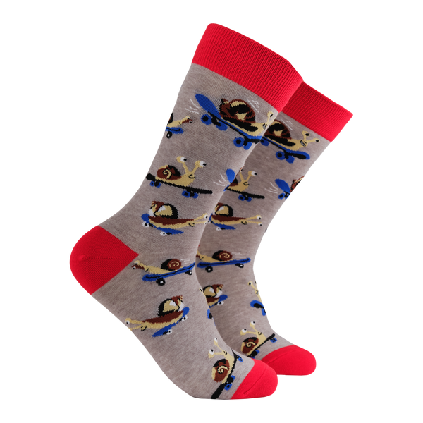 Snail Socks - Snail Boarder - GREY