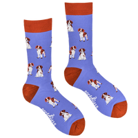 Spaniel Socks