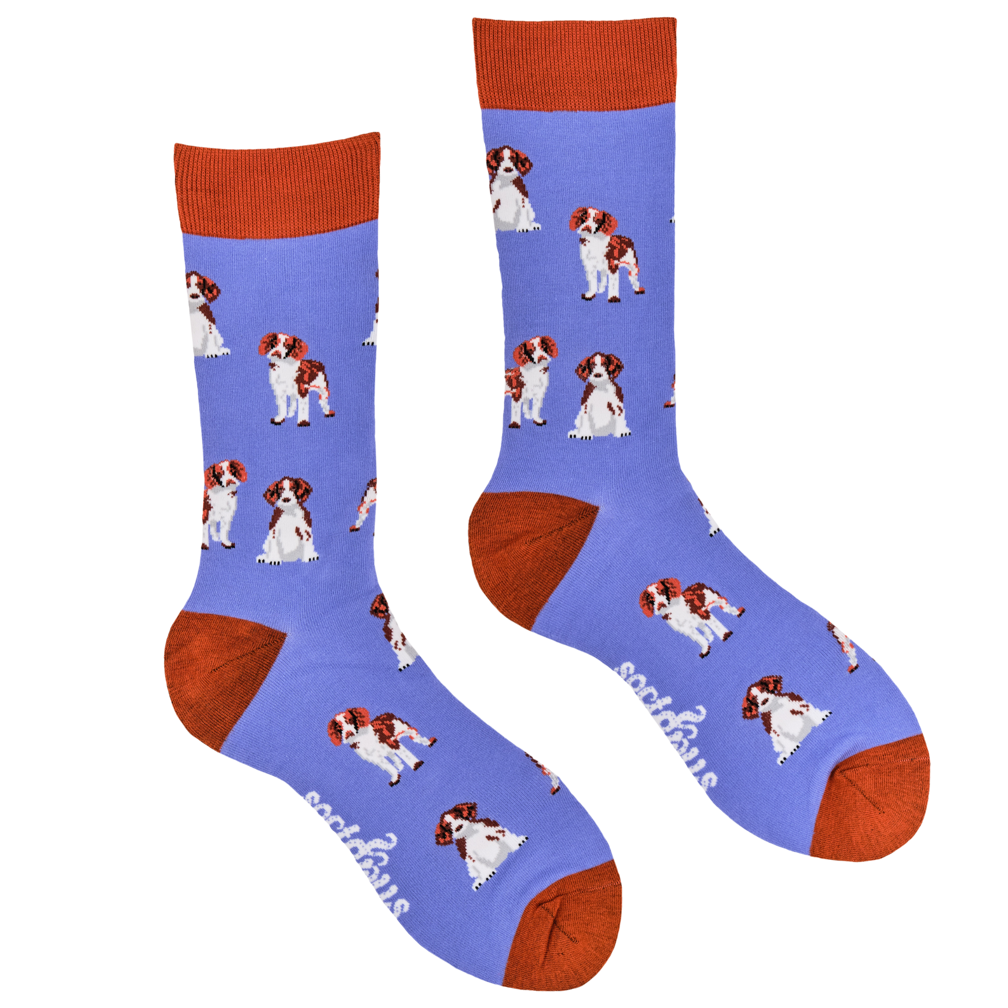 Spaniel Socks