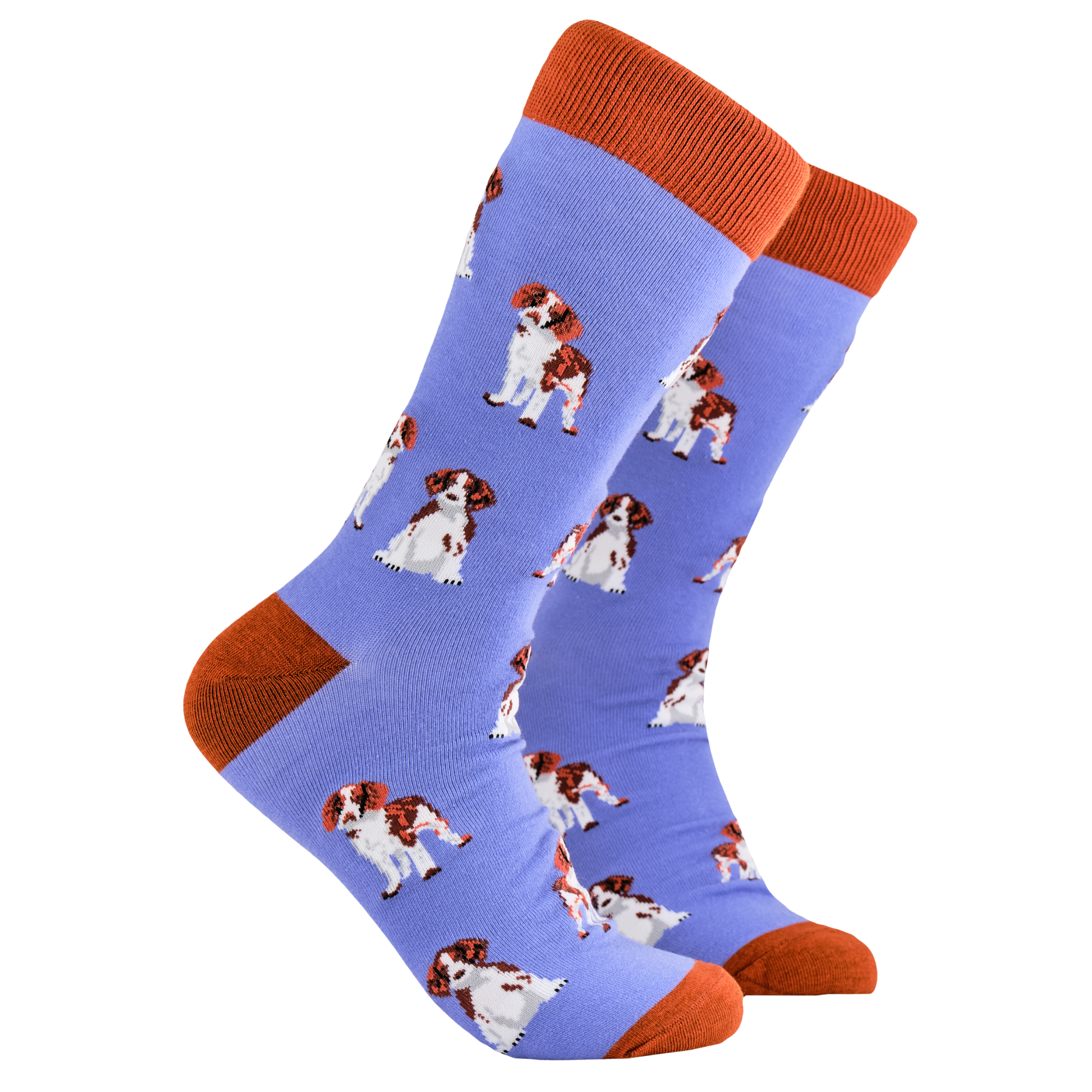 Spaniel Socks