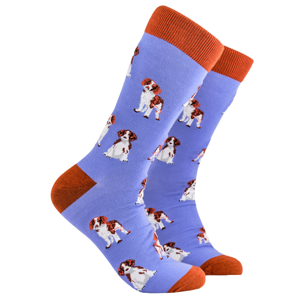 Spaniel Socks