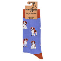 Spaniel Socks