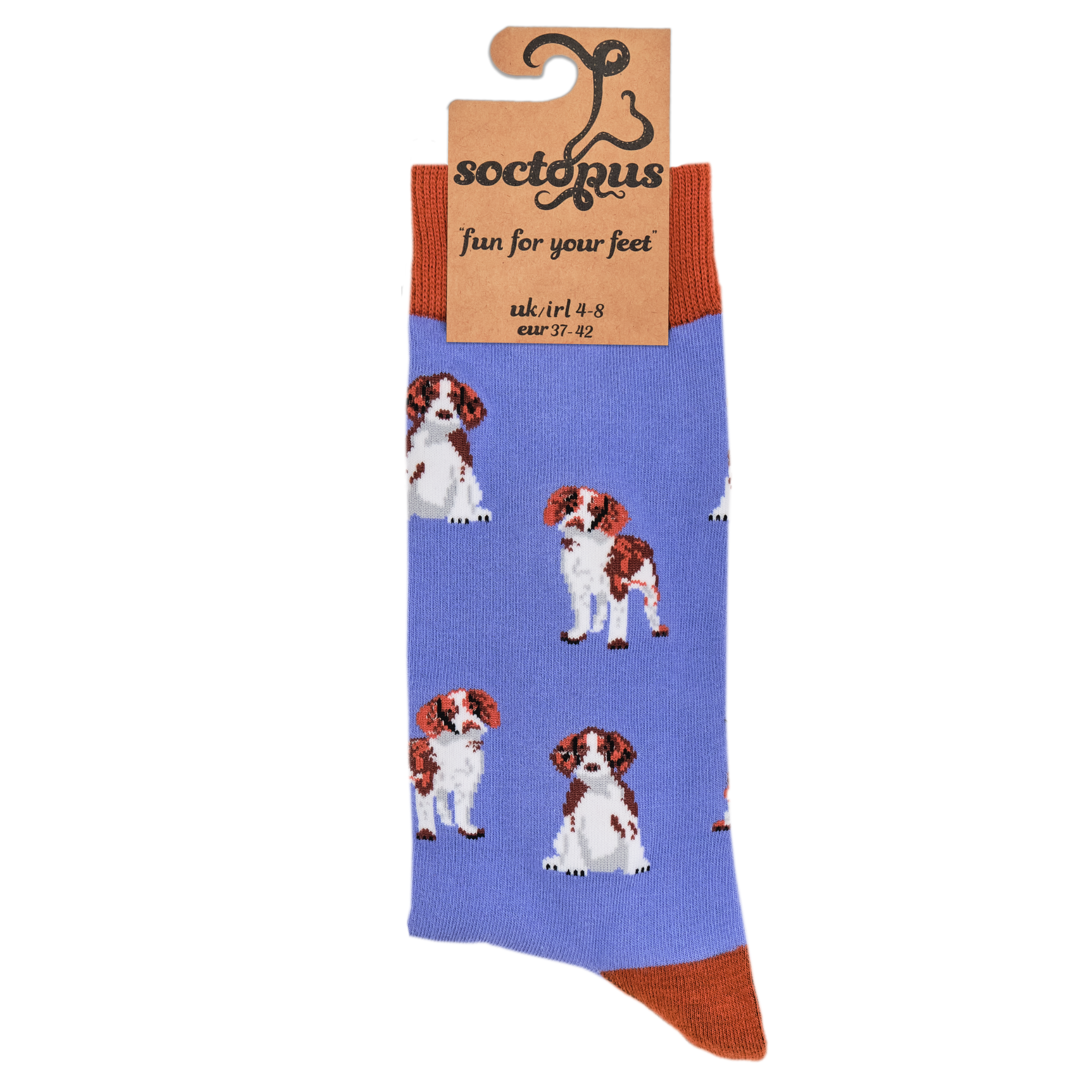 Spaniel Socks