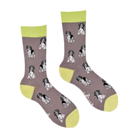 Spaniel Socks
