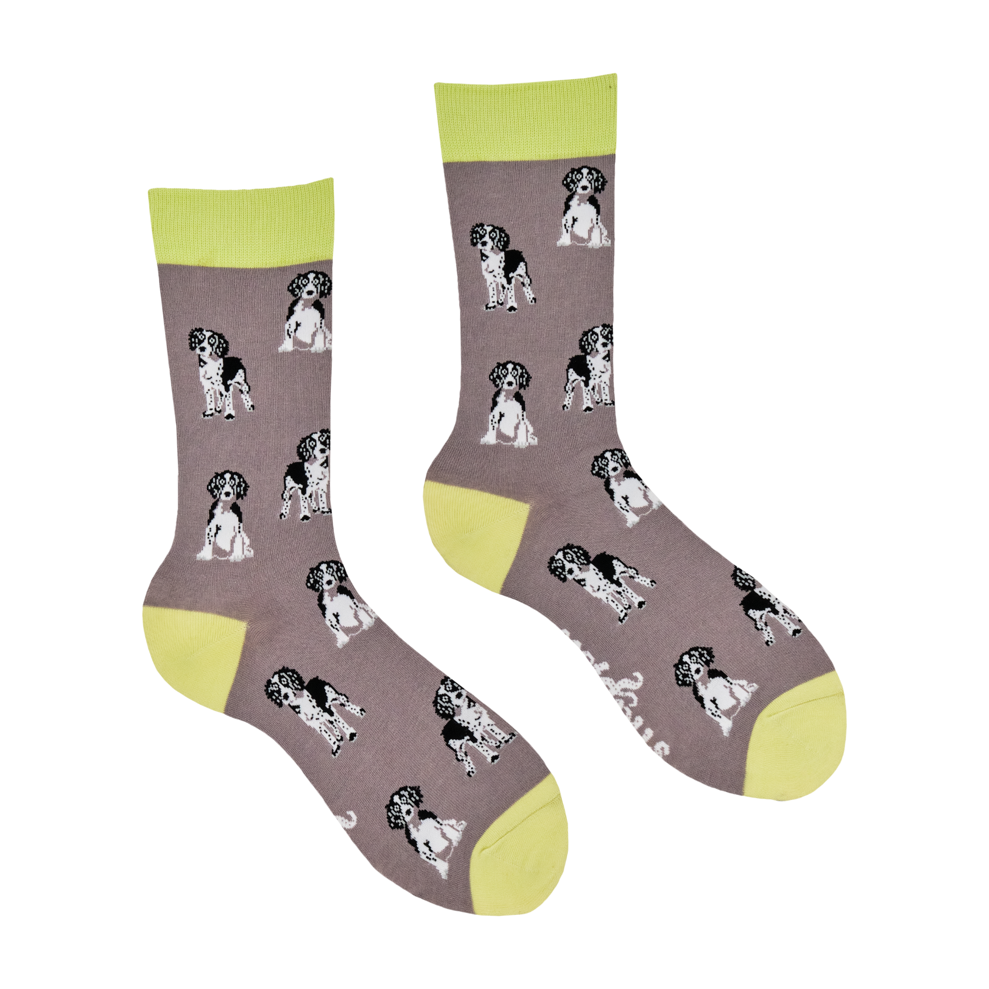 Spaniel Socks