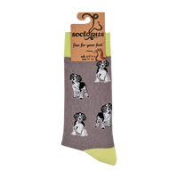 Spaniel Socks