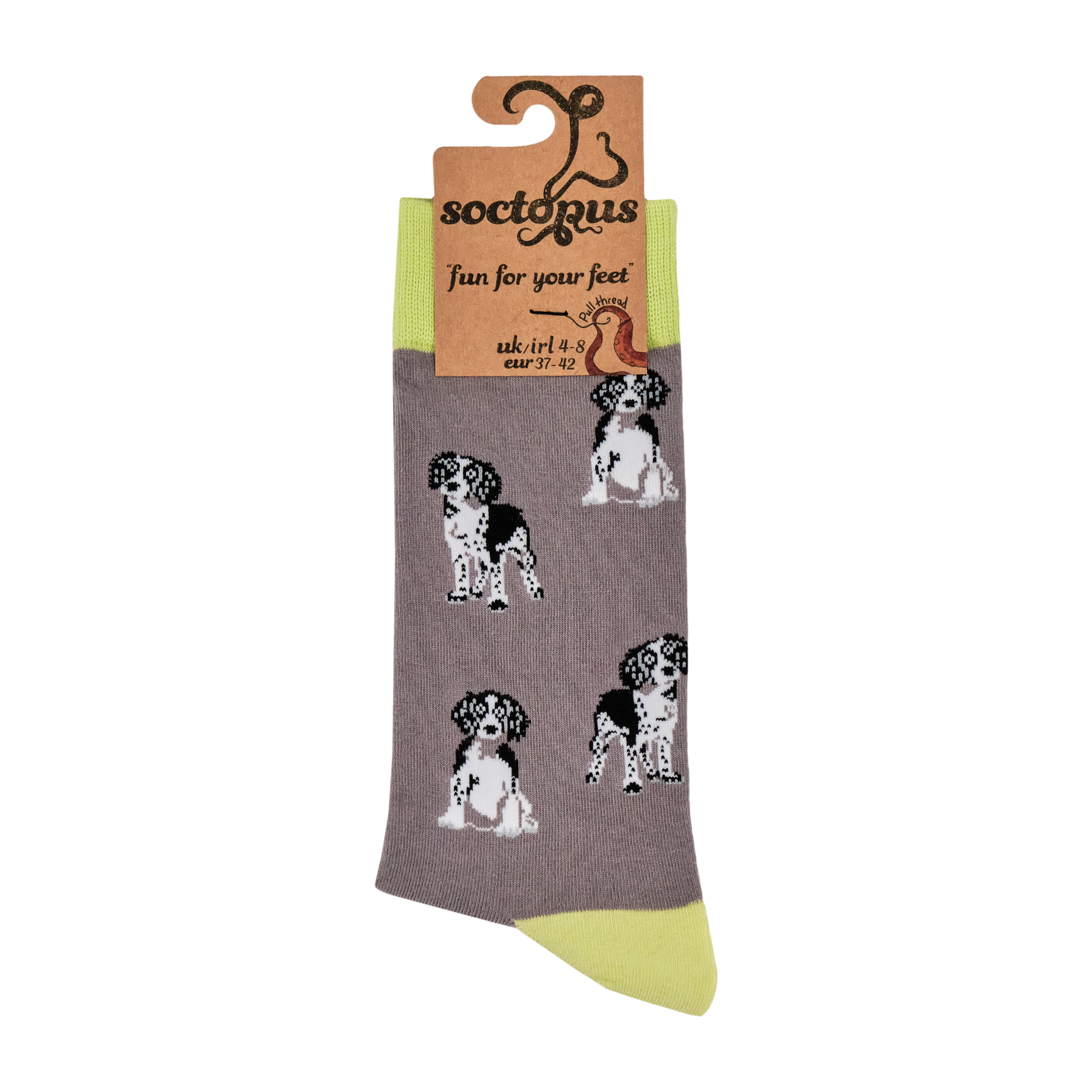 Spaniel Socks