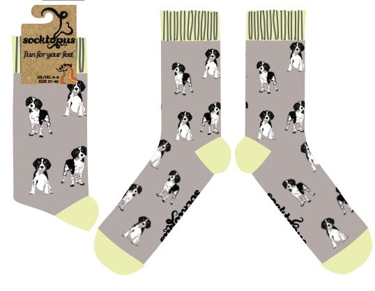 Spaniel Socks