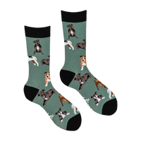 Staffordshire Terrier Socks - Staffies