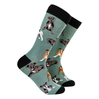 Staffordshire Terrier Socks - Staffies