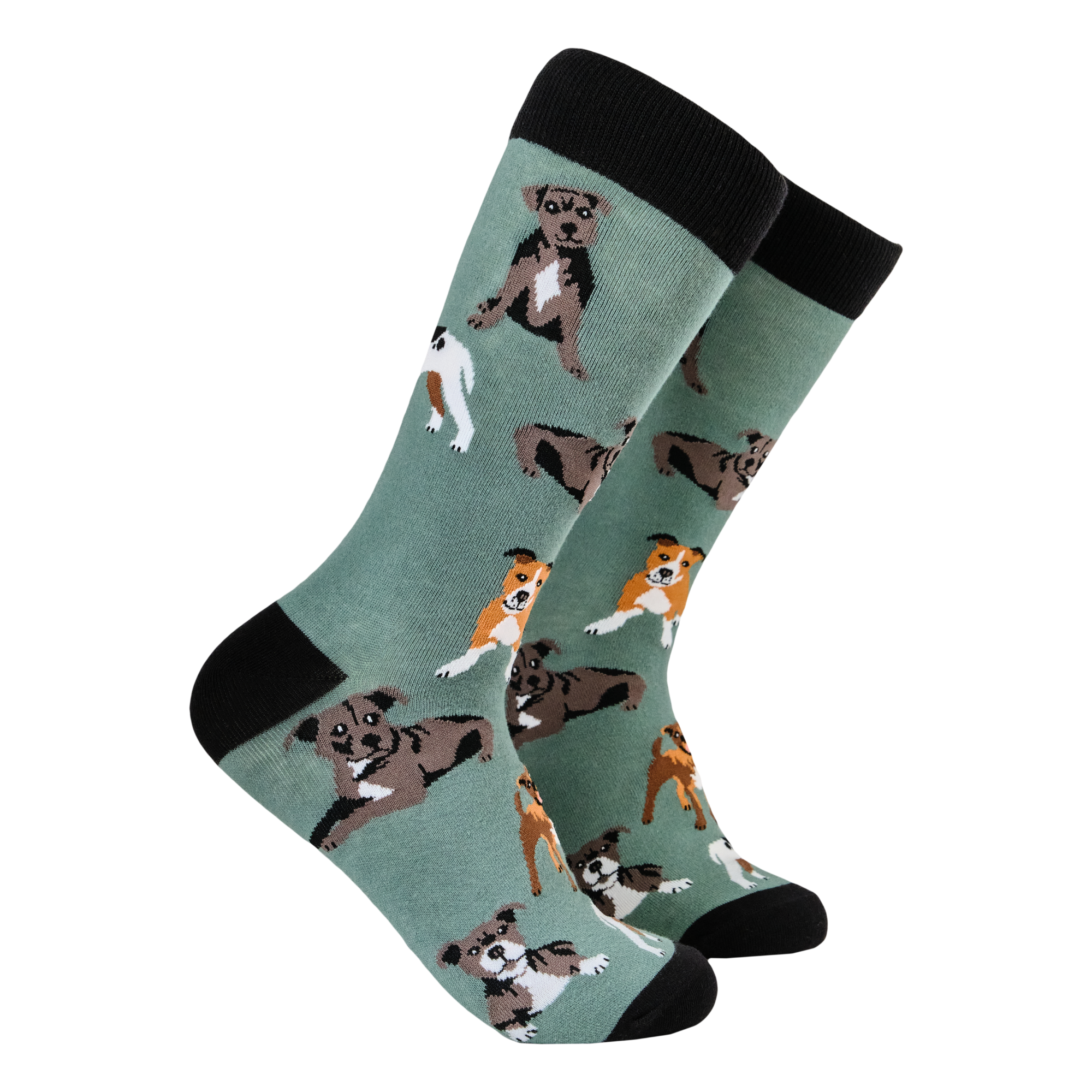 Staffordshire Terrier Socks - Staffies