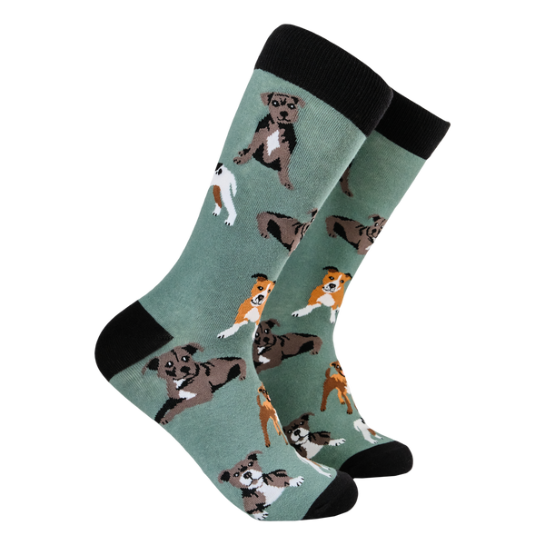 Staffordshire Terrier Socks - Staffies