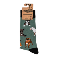 Staffordshire Terrier Socks - Staffies