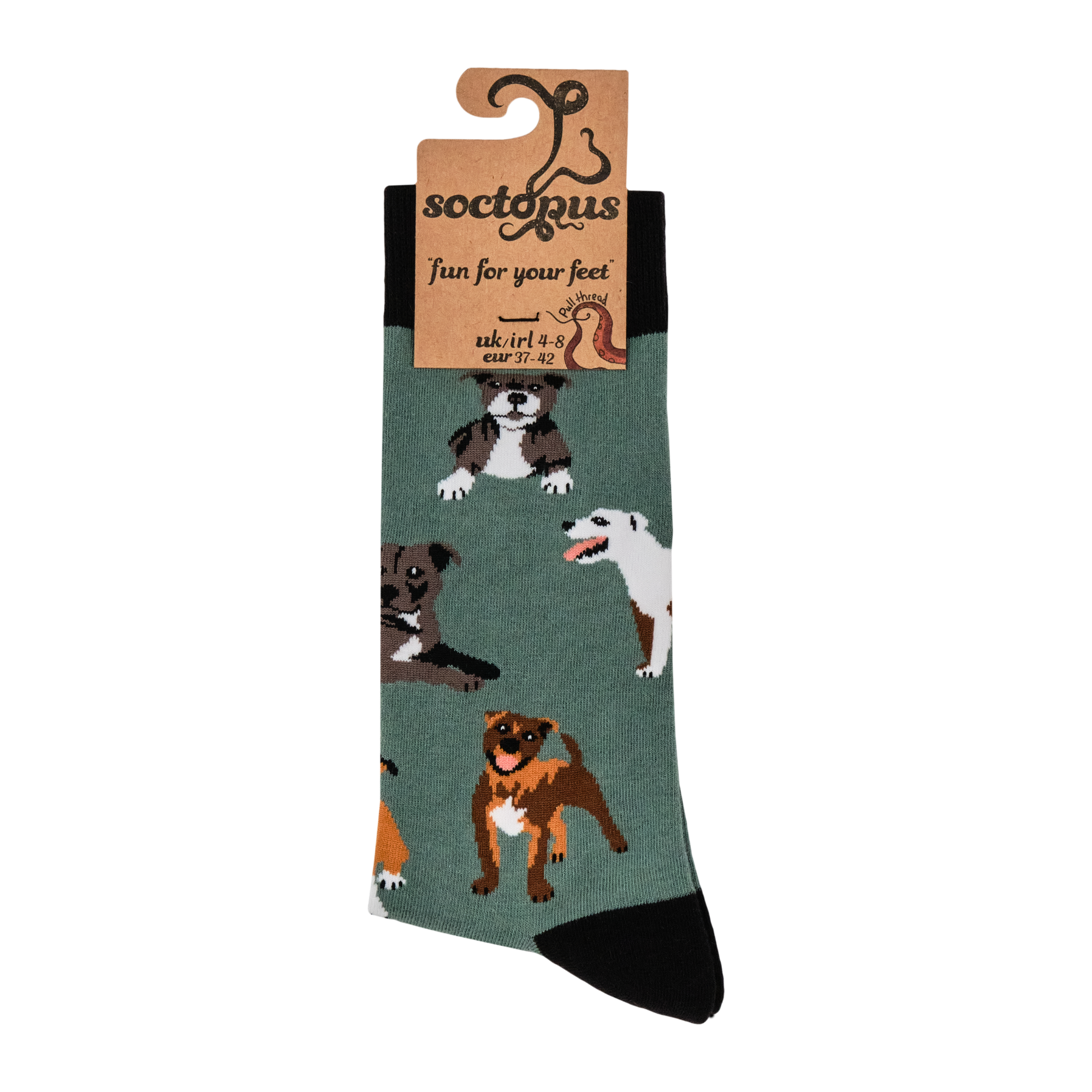 Staffordshire Terrier Socks - Staffies