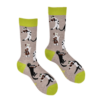 Cat Socks - String Quartet