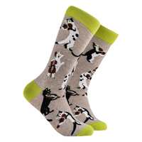 Cat Socks - String Quartet