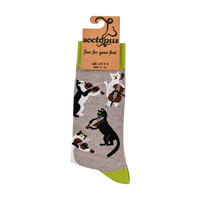 Cat Socks - String Quartet