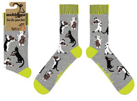 Cat Socks - String Quartet