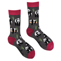 Panda Socks - Stu-Pandous