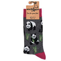 Panda Socks - Stu-Pandous