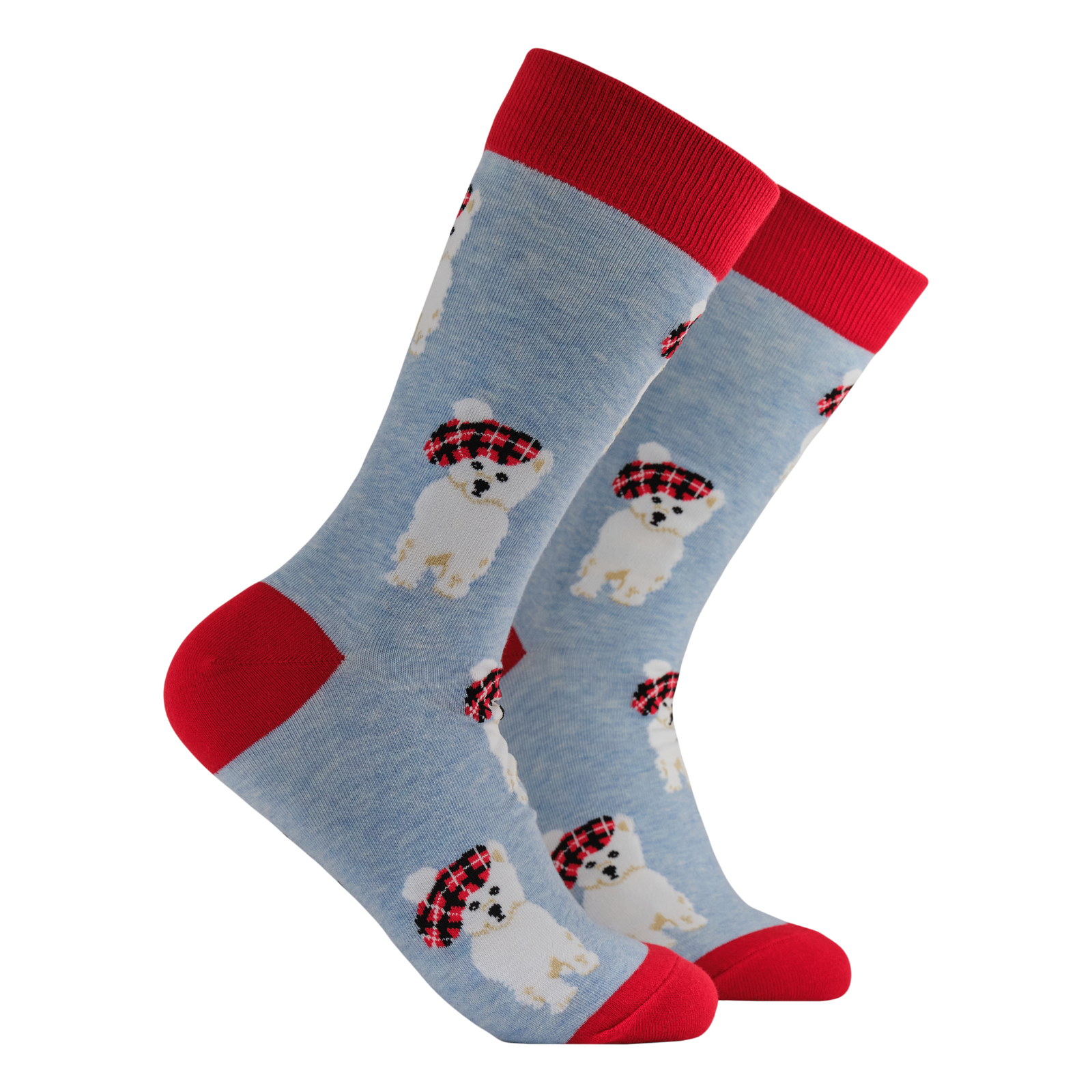 Tartan Westie Dog Socks