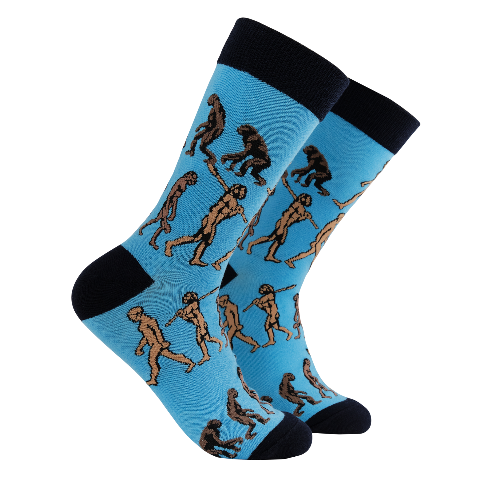 Science Socks - Theory of Evolution