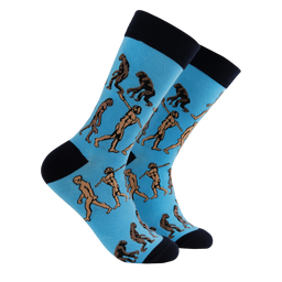 Science Socks - Theory of Evolution
