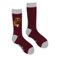 Boxer Dog Socks - Think Outside The Boxer