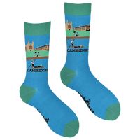 Cambridge Socks - Take a Punt