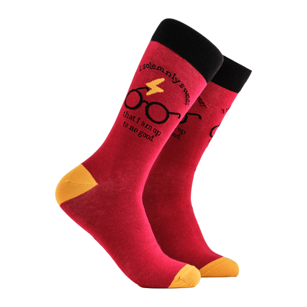 Harry Potter Socks - Up to No Good