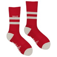 Wales Retro Sports Athletic Socks
