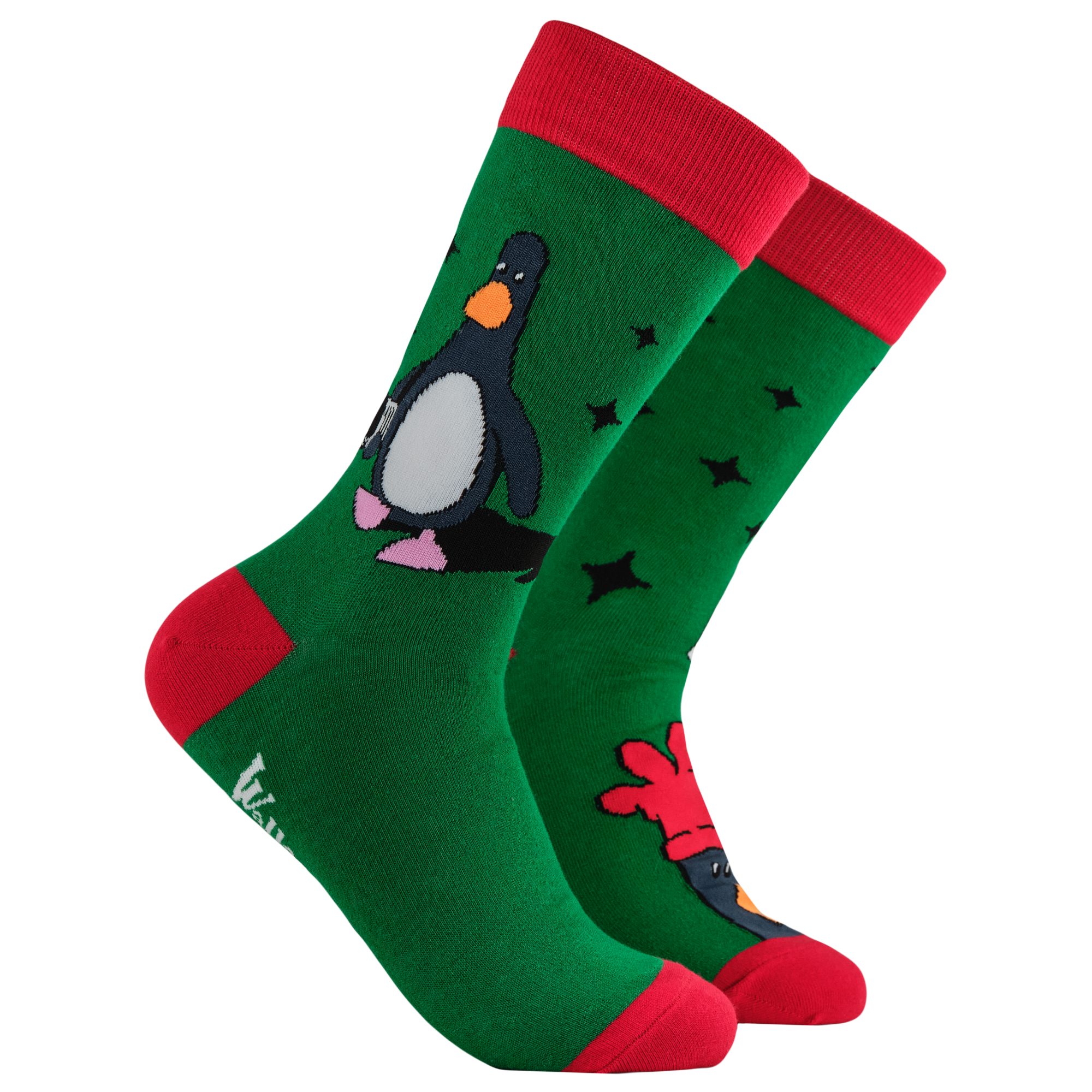 Have You Seen This Chicken Socks - Wallace and Gromit