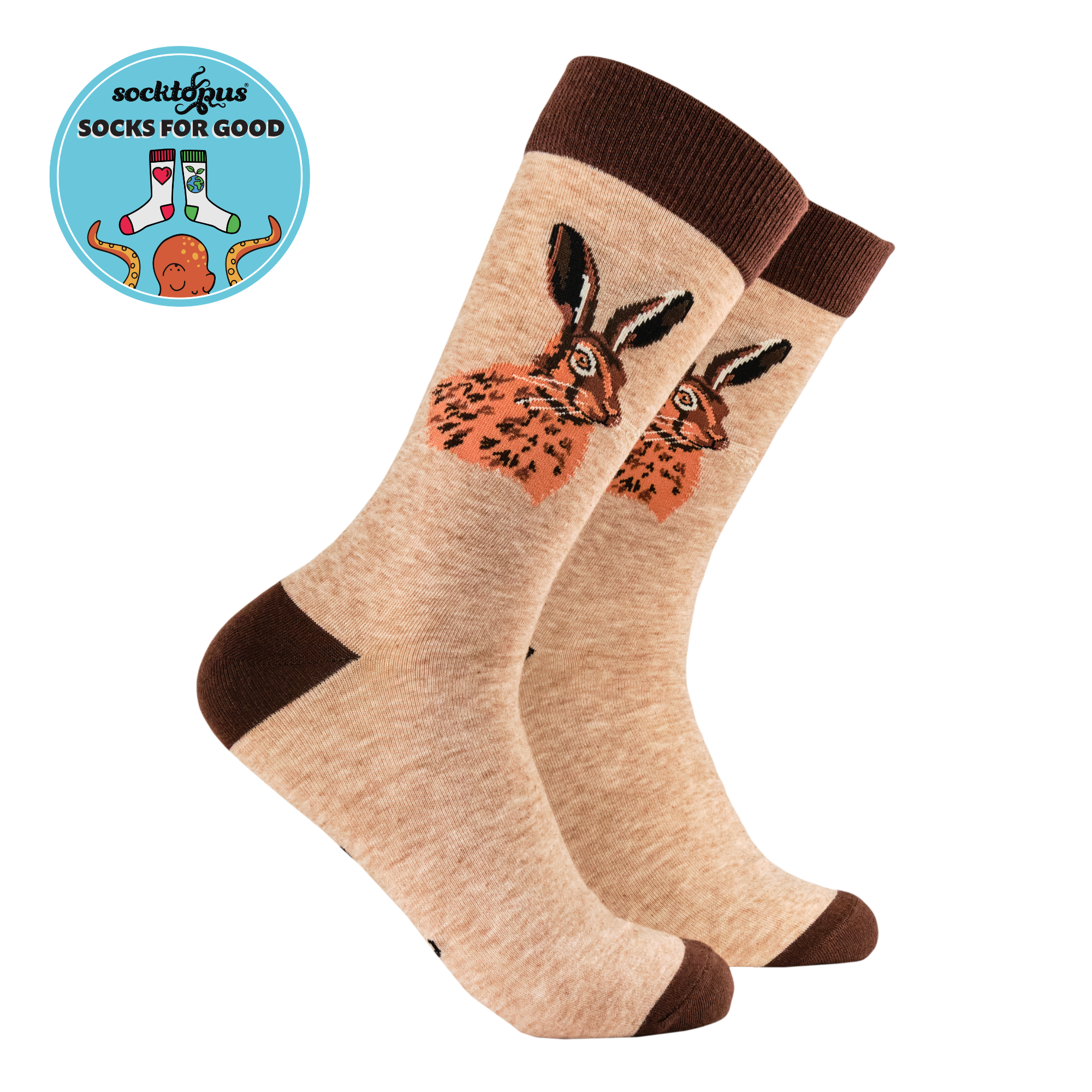Hare Socks - Portrait of a Leveret
