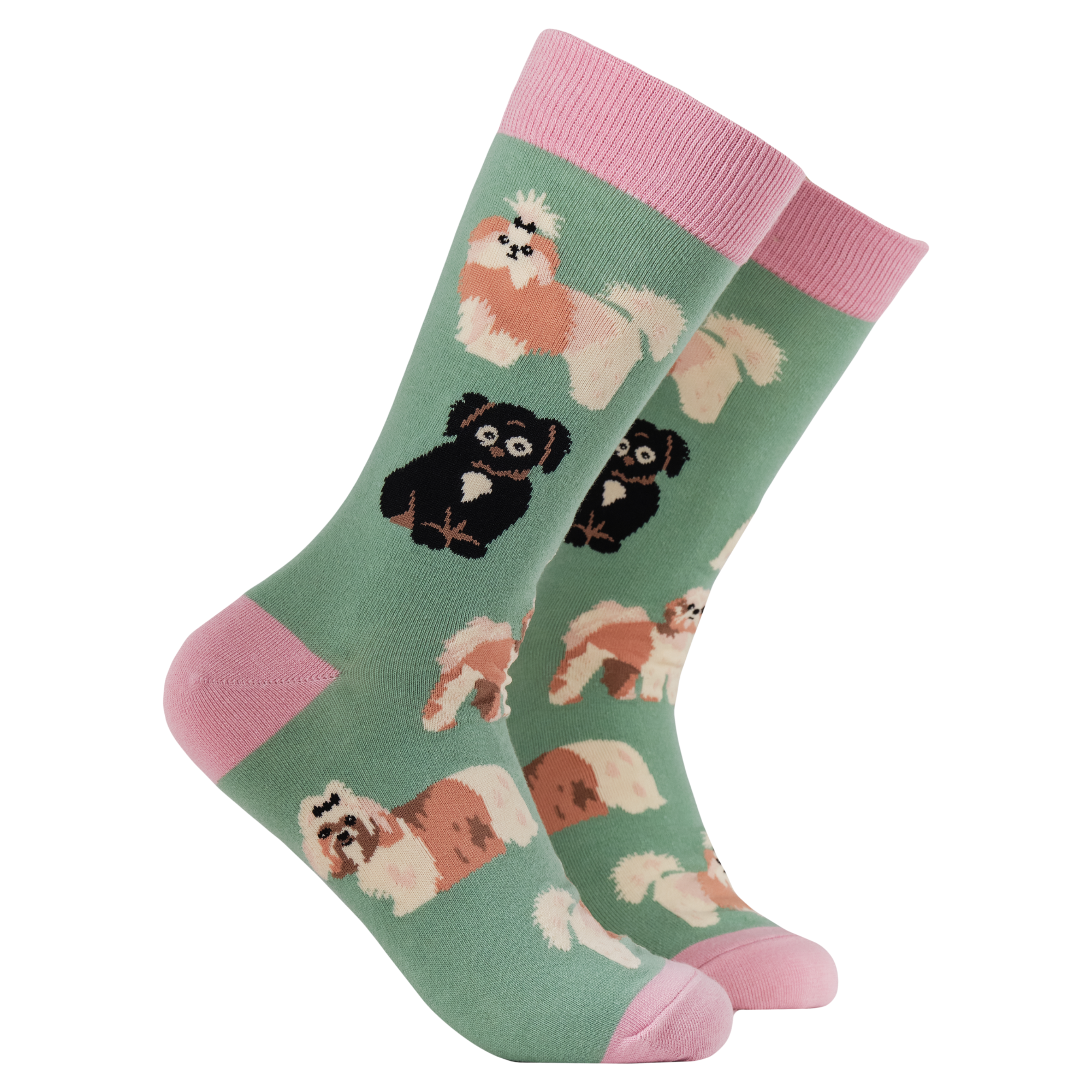 I Shih-Tzu Not Socks