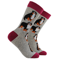 Bernese Mountain Dog Socks - Feel The Bern