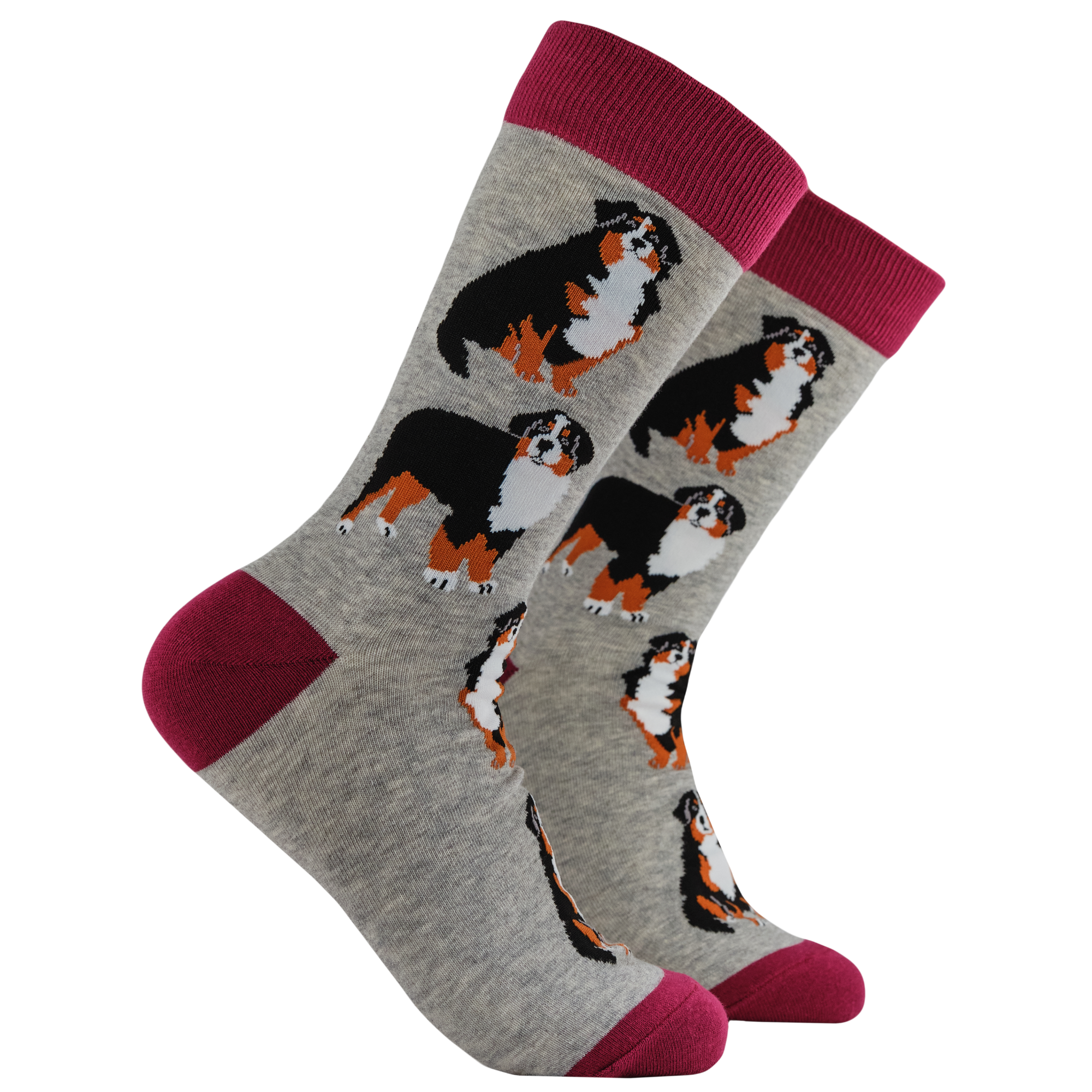 Bernese Mountain Dog Socks - Feel The Bern
